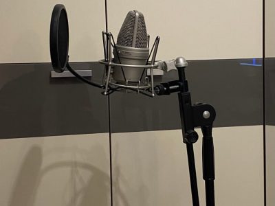 usb-mikrofon-in-spinne-mit-pop-schutz